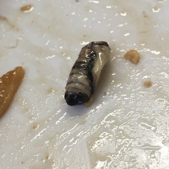 Chapter Two - AN INSECT COCOON IN THE PAD SE EW! - Thai Near Me - Loma Linda, California