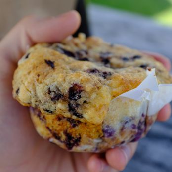 Mother's Kitchen - blueberry muffin from mothers kitchen "best blueberry muffin i've every had" - Sandwiches Near Me - Bar Harbor, Maine Mother's Kitchen - blueberry muffin from mothers kitchen "best blueberry muffin i've every had" - Sandwiches Near Me - Bar Harbor, Maine