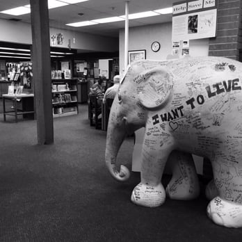 La Habra Library - Love the elephant! - Libraries Near Me - La Habra, California La Habra Library - Love the elephant! - Libraries Near Me - La Habra, California