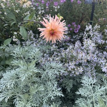Wave Hill Public Garden - Flower - Venues & Event Spaces Near Me - Bronx, New York