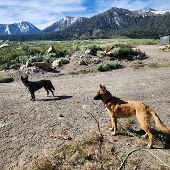 Sierra Meadows Ranch - View from the lonsdale cabin! - Venues & Event Spaces Near Me - Mammoth Lakes, California Sierra Meadows Ranch - View from the lonsdale cabin! - Venues & Event Spaces Near Me - Mammoth Lakes, California
