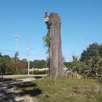 Arnul Tree Service - Tree Services Near Me Arnul Tree Service - Tree Services Near Me