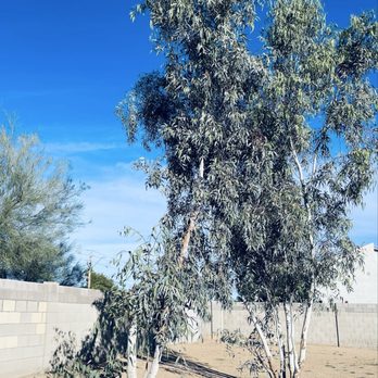 Cervantes Landscape - Irrigation Near Me