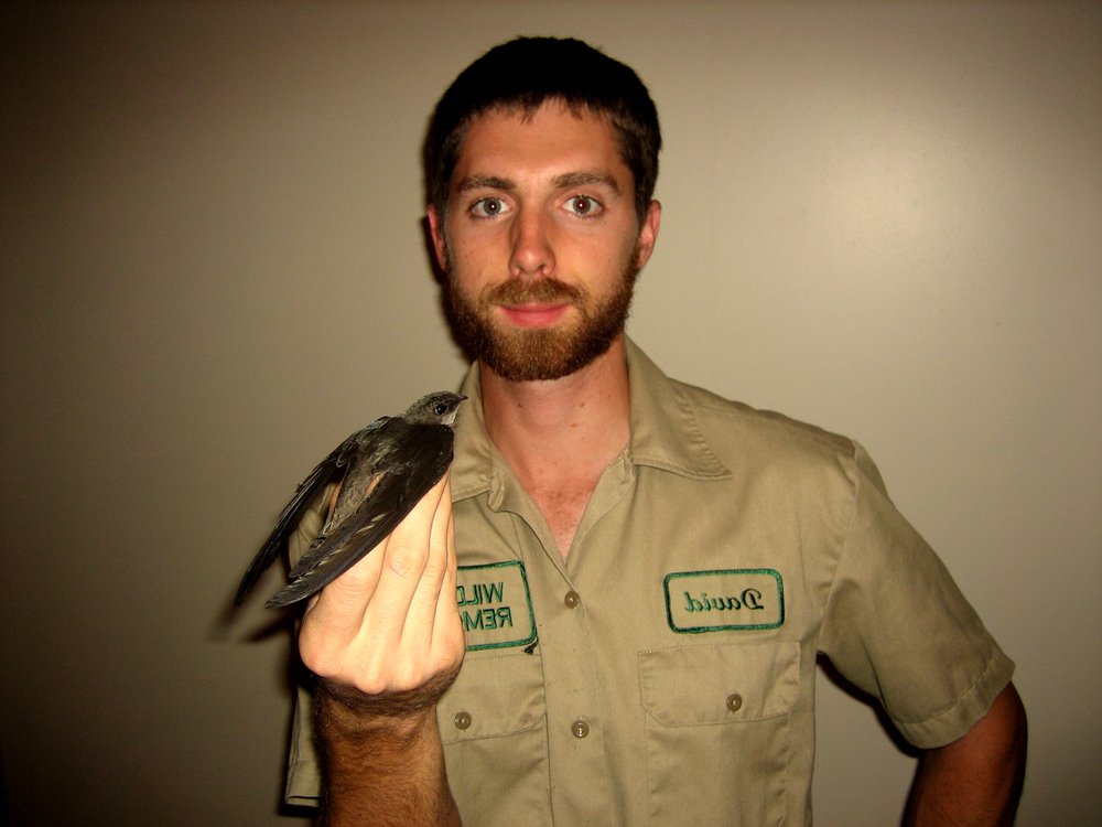 PRO BIRD CONTROL HOUSTON Updated May 2024 20 Photos Houston