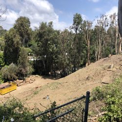 The Agency - AFTER:  Total devastation with no attempt to save or accommodate ANY TREES