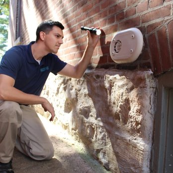 Rottler Pest Solutions - Pest Control Near Me - St. Louis, Missouri Rottler Pest Solutions - Pest Control Near Me - St. Louis, Missouri