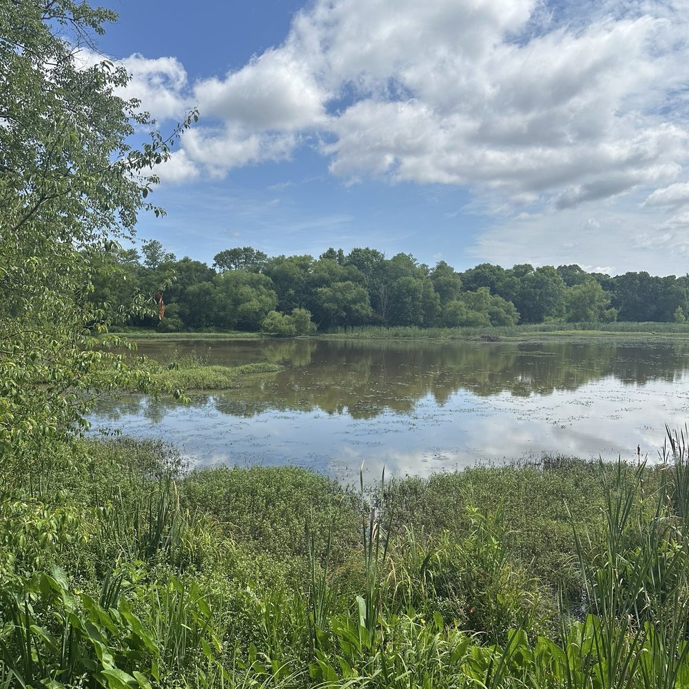 Conestee Nature Preserve - Community Service/Non-Profit Near Me - Greenville, South Carolina Conestee Nature Preserve - Community Service/Non-Profit Near Me - Greenville, South Carolina