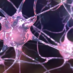 Svetlana Yakov, MD, PhD - Interventional psychiatry is cutting edge treatment that helps patients with chronic suicidality by improving brain neuroplasticity