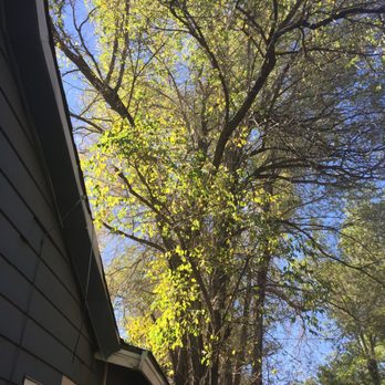 Russells Tree Service - Tree Services Near Me - Reno, Nevada