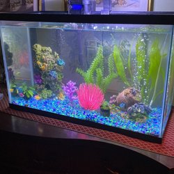 Nahacky's Aquarium