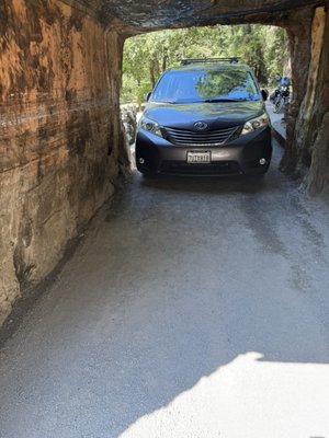Drive-Thru Tree Park Leggett by null