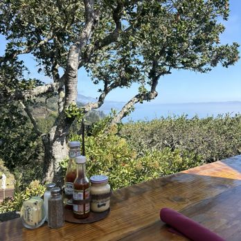 Nepenthe - At least the Blue Jays were cute - New American Near Me - Big Sur, California Nepenthe - At least the Blue Jays were cute - New American Near Me - Big Sur, California