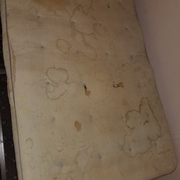 Disgusting mattress