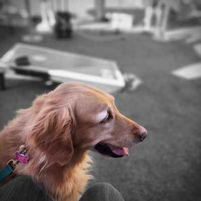 OHSO Brewery + Distillery by null