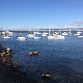 Monterey Bay Coastal Trail - Hiking Near Me