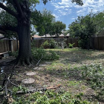 Twin Oak Solutions - Storm damage - Tree Services Near Me