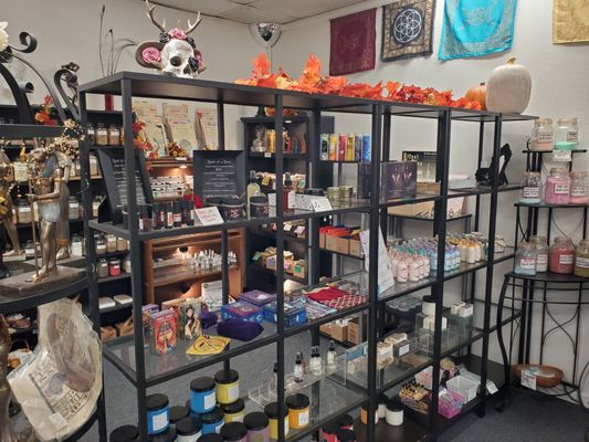 The Dragon and The Rose by null