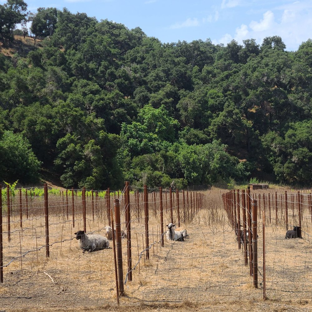 Old Creek Ranch Winery - Venues & Event Spaces Near Me - Ventura, California Old Creek Ranch Winery - Venues & Event Spaces Near Me - Ventura, California