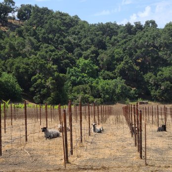 Old Creek Ranch Winery - Venues & Event Spaces Near Me - Ventura, California Old Creek Ranch Winery - Venues & Event Spaces Near Me - Ventura, California