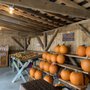 Photo of Sugar Ridge Family Farm