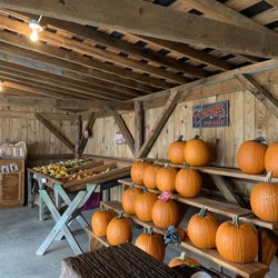 Sugar Ridge Family Farm - Pumpkins & gourds for sale in the shop