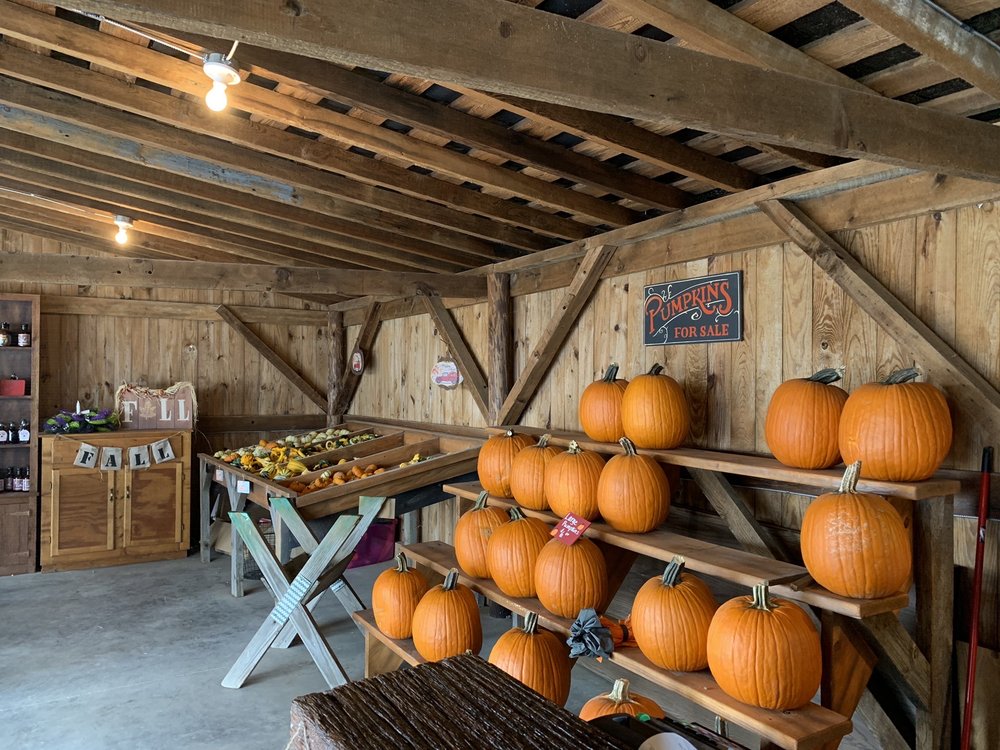 SUGAR RIDGE FAMILY FARM Updated September 2024 29 Photos 12273