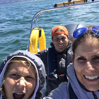 Rib Ride - Journey to Puffin Island! - Boating Near Me - Menai Bridge, AGY