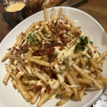 Three Bulls Tavern & Brewery - Garlic Cheese Fries - Brewpubs Near Me - Valrico, Florida Three Bulls Tavern & Brewery - Garlic Cheese Fries - Brewpubs Near Me - Valrico, Florida