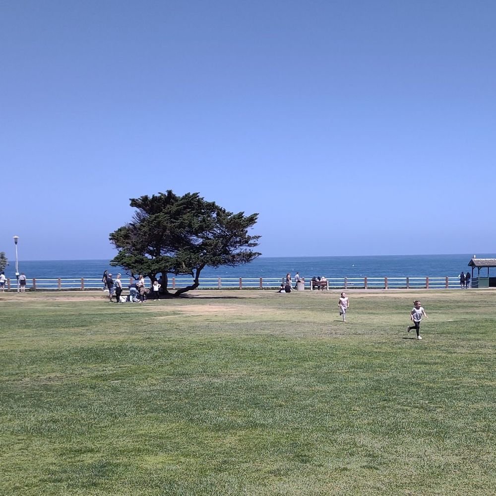 Ellen Browning Scripps Park - Flat grassy area with the ocean in the background - Parks Near Me - La Jolla, California Ellen Browning Scripps Park - Flat grassy area with the ocean in the background - Parks Near Me - La Jolla, California