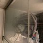 Photo of Ceci House Cleaning