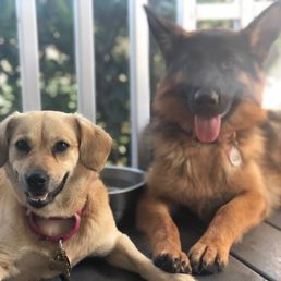 Millie with her friend four days after finishing the program!