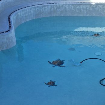 Payless Pool Service - Pool Being Refilled - Pool & Hot Tub Service Near Me
