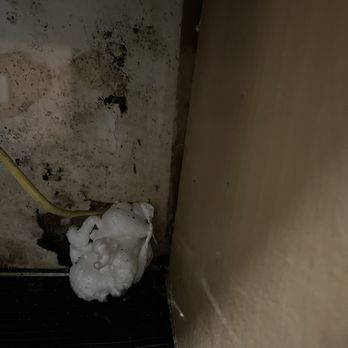 Sylvan Homes - Black mold and horrible plumbing work. - Property Management Near Me