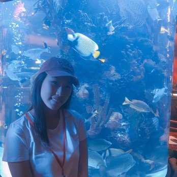 Rainforest Cafe - #rainforestcafe - American Near Me - Auburn Hills, Michigan Rainforest Cafe - #rainforestcafe - American Near Me - Auburn Hills, Michigan