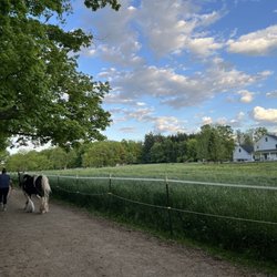 Sunny Sugarcreek Stables