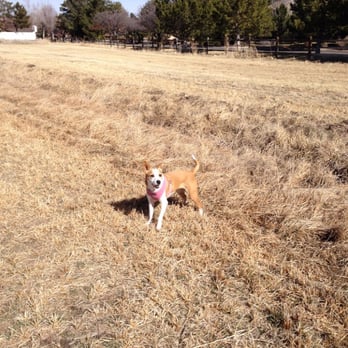 Donnelly Park - Just Sheela - Dog Parks Near Me - Reno, Nevada Donnelly Park - Just Sheela - Dog Parks Near Me - Reno, Nevada