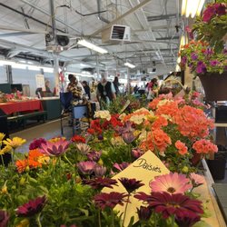 Pineland Farms