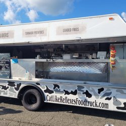 Catlike Reflexes Food Truck - the truck