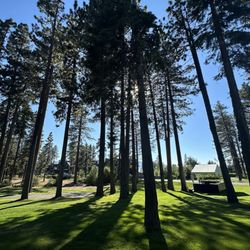 Edgewood Tahoe Golf Course - Beautiful day at Edgewood