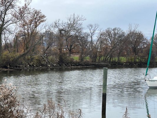 Washington Sailing Marina by null
