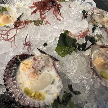 CVI.CHE 105 - Conchas chalaca- (scallops) - Peruvian Near Me - Coral Gables, Florida
