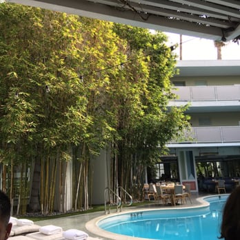 Viviane - View from our table outside - New American Near Me - Beverly Hills, California