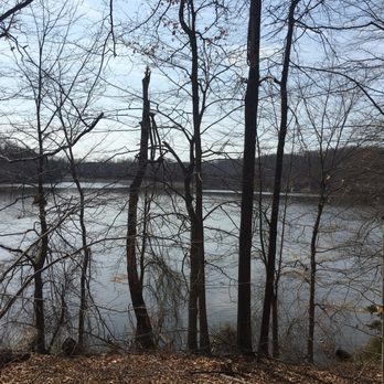 Lake Accotink Park - Lake from the trail - Parks Near Me - Springfield, Virginia Lake Accotink Park - Lake from the trail - Parks Near Me - Springfield, Virginia