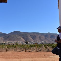 Take In Baja & The Grape Underground - Vinos Dubacano Valle de Guadalupe