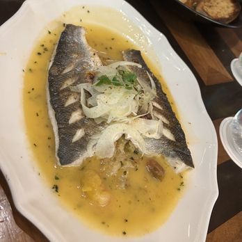 Cipresso - Branzino - Italian Near Me - Hollywood, Florida Cipresso - Branzino - Italian Near Me - Hollywood, Florida