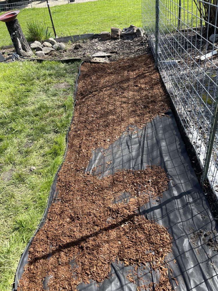 PRECISION LAWN CARE & MAINTENANCE Updated August 2024 Request a Quote 22 Photos Grants