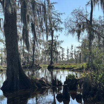 Louisiana Tour - The Bayou - Tours Near Me - Marrero, Louisiana Louisiana Tour - The Bayou - Tours Near Me - Marrero, Louisiana