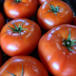 Tomatoes and other garden vegetables, fresh and reasonably priced.