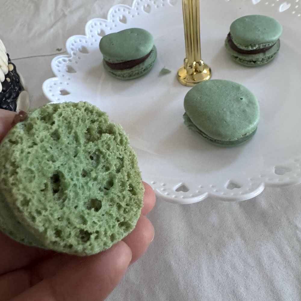 Bon Appetit Bakery - Macaron right out of the box. Is this Baby Blue? My kids said Teal or weird green. - Bakeries Near Me - Ellicott City, Maryland