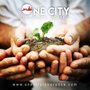 Photo of One City Insurance 